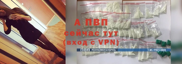 винт Абаза