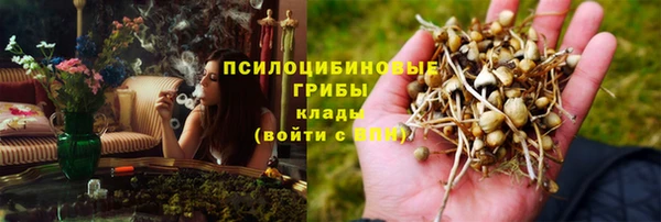 винт Абаза