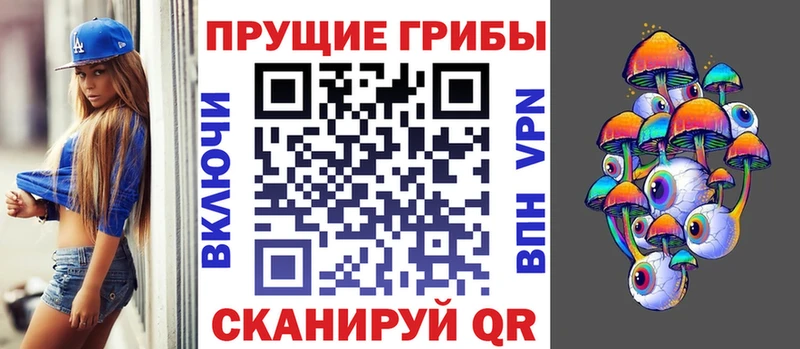 Псилоцибиновые грибы GOLDEN TEACHER  где найти наркотики  KRAKEN зеркало  Дальнереченск 