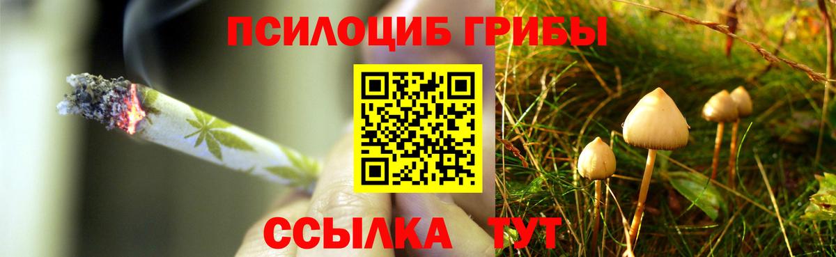 Галлюциногенные грибы Psilocybe  Вход с VPN  Псилоцибиновые грибы мицелий  Дальнереченск 
